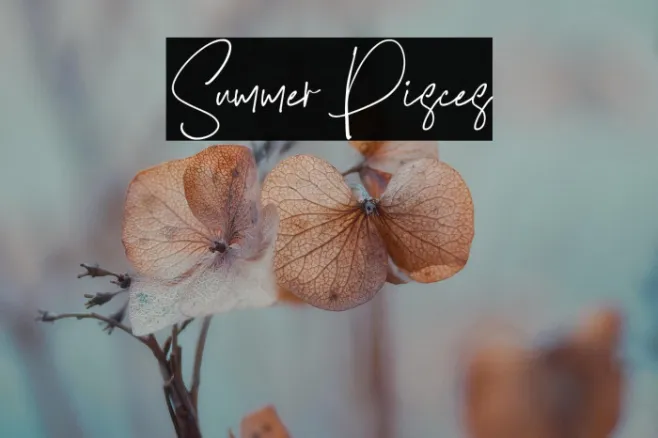 Summer Pisces Example 3