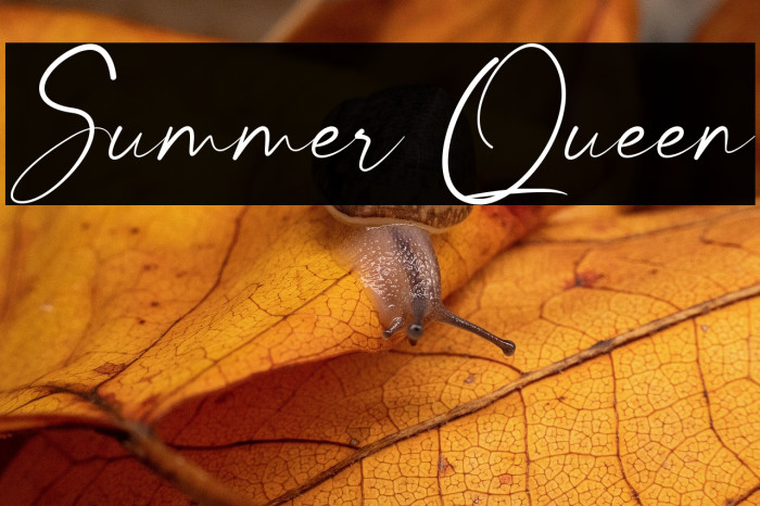 Summer Queen Example 2