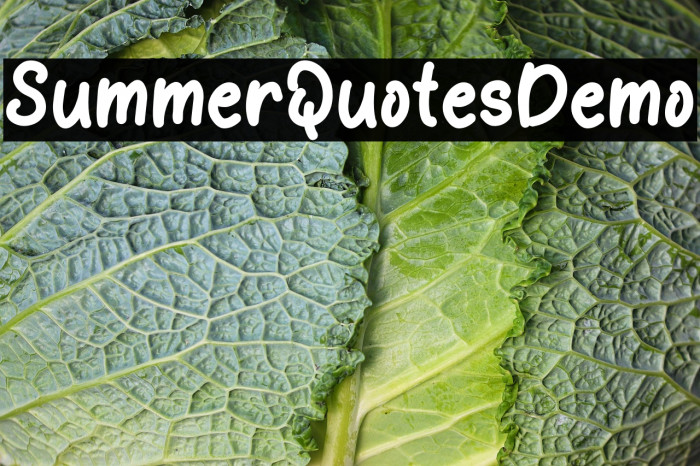 Summer Quotes Demo Example 3