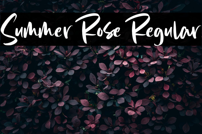Summer Rose Regular Example 2