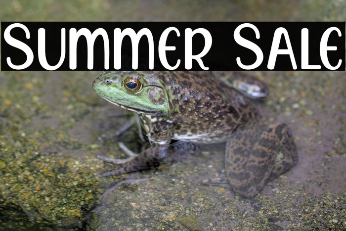 Summer Sale Example 2