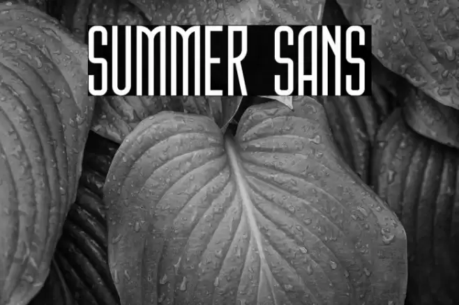 Summer Sans Font examples
