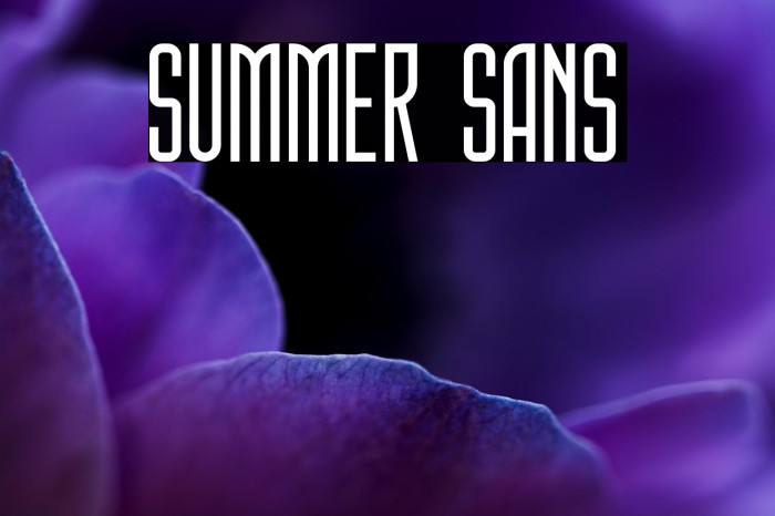 Summer Sans Example 2