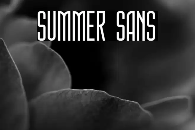 Summer Sans Font examples