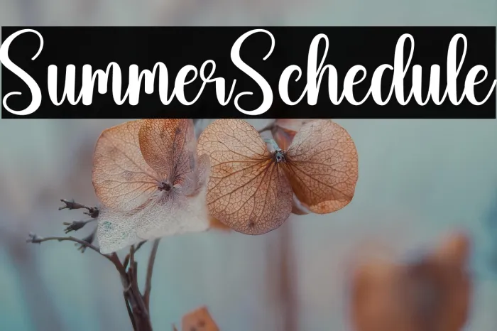 Summer  Schedule Example 1