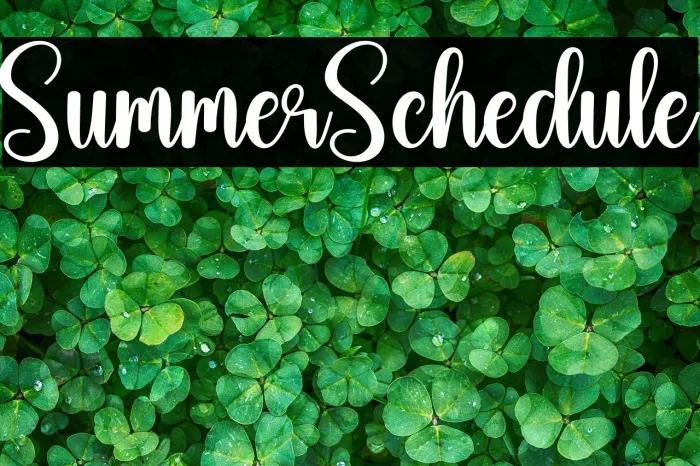 Summer  Schedule Example 3