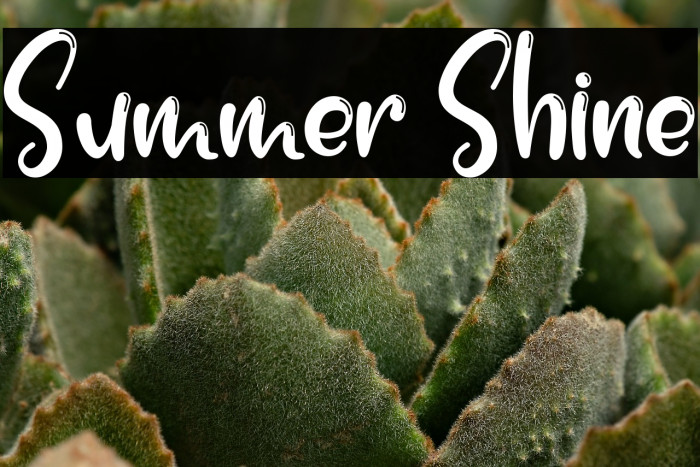 Summer Shine Example 3