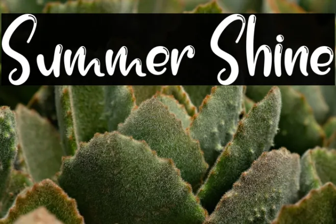 Summer Shine Example 3