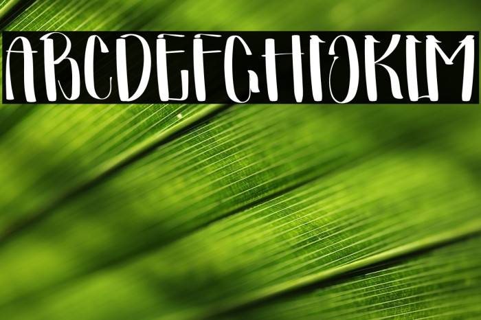 Summer Signature Example 3