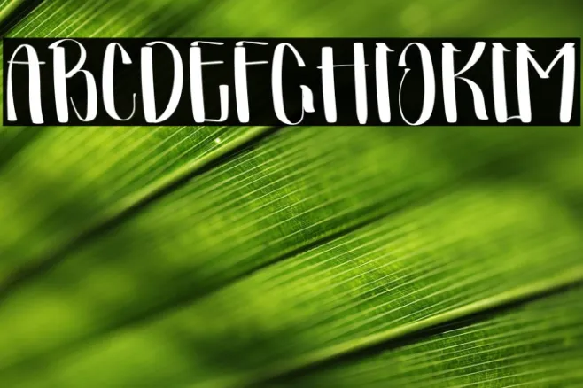 Summer Signature Example 3