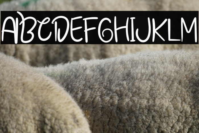 Summer Special Example 3