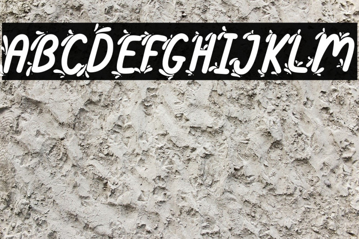 Summer Splash Display Font examples