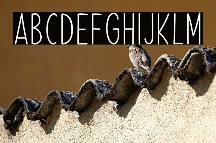 Summer Splendor Example 3