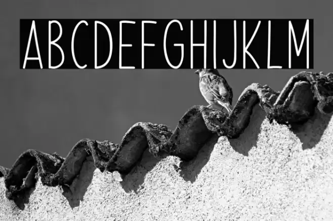 Summer Splendor Caratteri examples