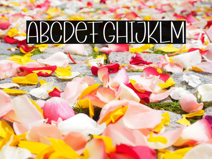 Summer Story Example 2