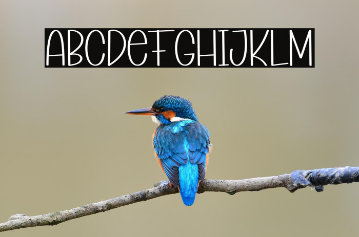 Summer Story Example 3