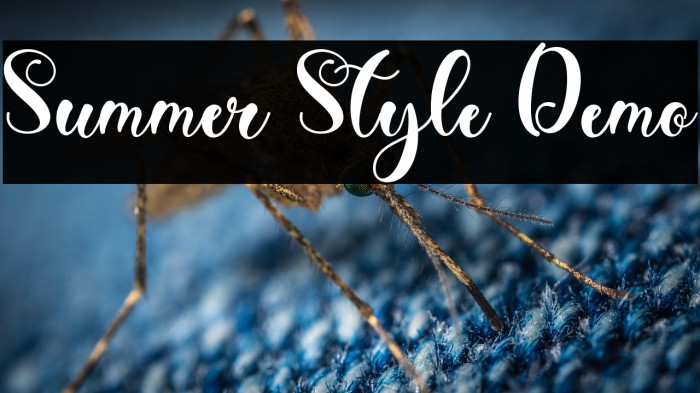 Summer Style Demo Example 1