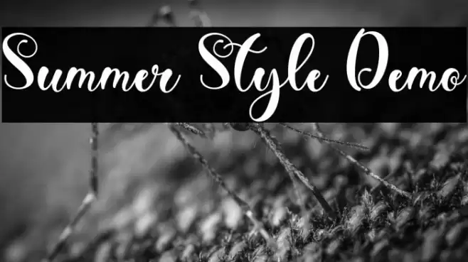 Summer Style Demo Fuentes examples
