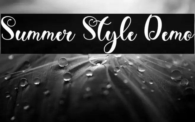 Summer Style Demo Fuentes examples