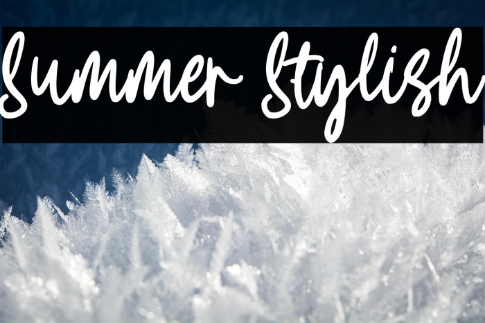 Summer Stylish Example 3