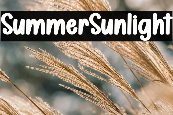 Summer Sunlight Example 2
