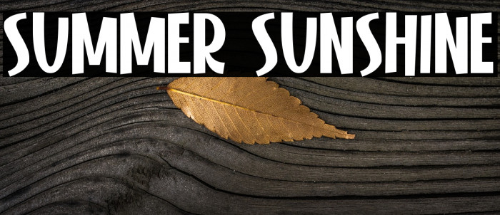 Summer Sunshine Font examples