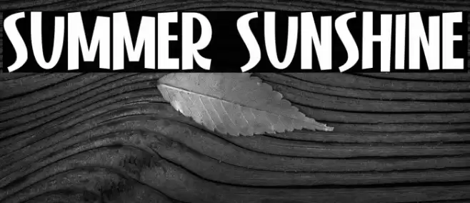 Summer Sunshine Fuentes examples
