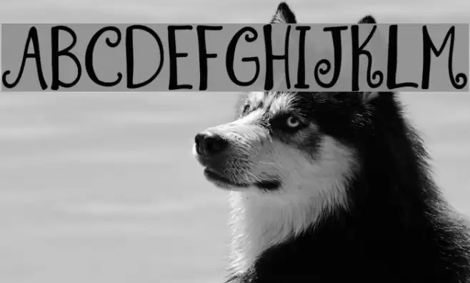 Summer Swirl Demo Font examples