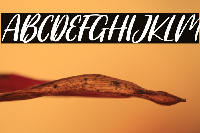 Summer Together Example 2