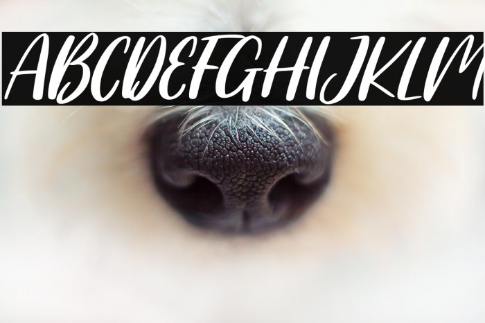 Summer Together Example 3