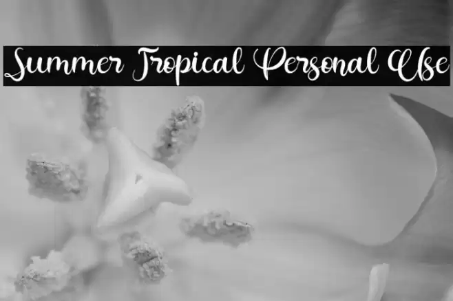 Summer Tropical Personal Use Font examples