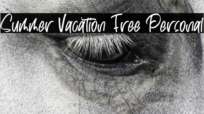 Summer Vacation Free Personal Example 1