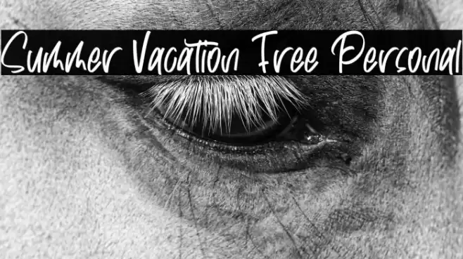 Summer Vacation Free Personal Font examples