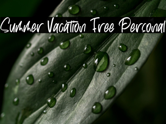 Summer Vacation Free Personal Example 2