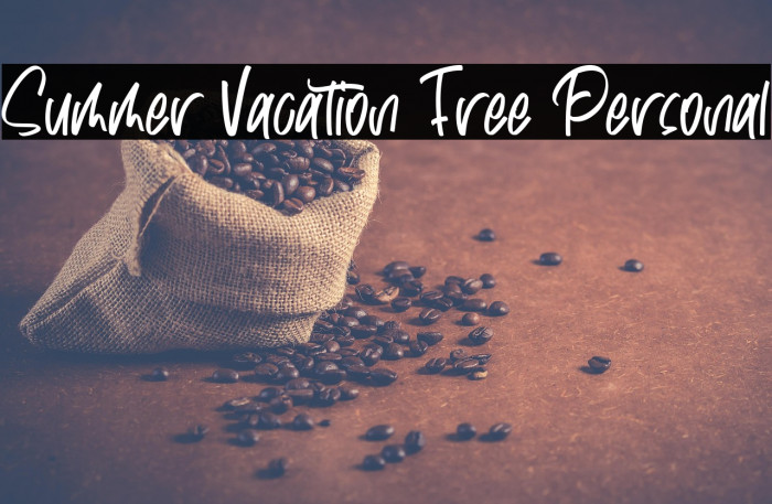 Summer Vacation Free Personal Example 3