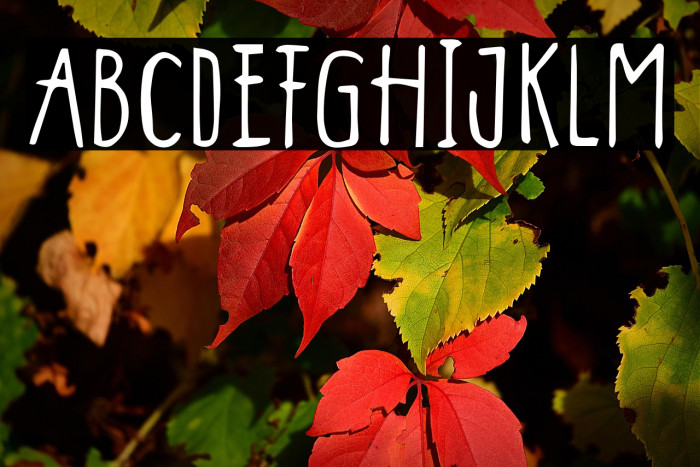 Summer Vacation Example 1