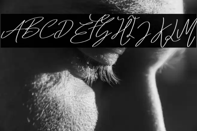 Summer Vibes Bold Font examples