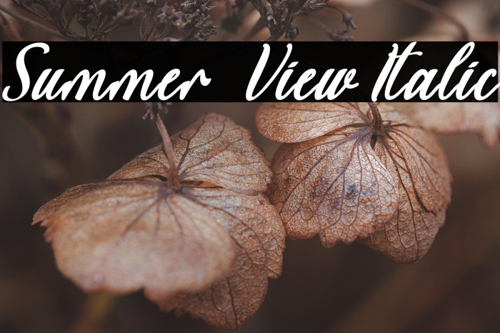 Summer  View Italic Example 1