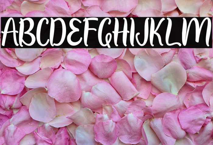 Summer  View Example 1