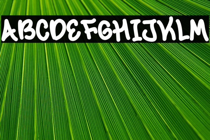 Summer Village Demo Example 1