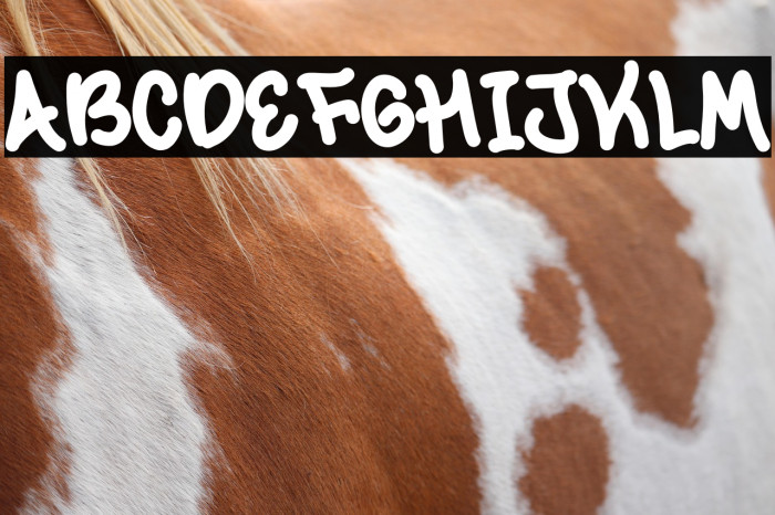 Summer Village Demo Example 2