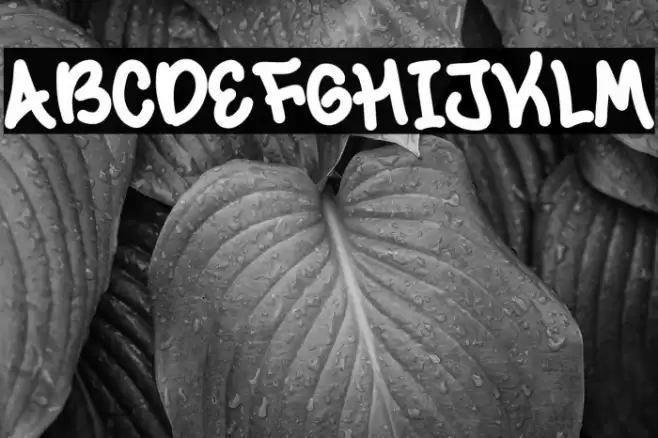 Summer Village Demo خط examples