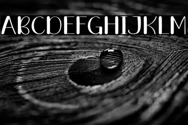 Summer Vintage Font examples