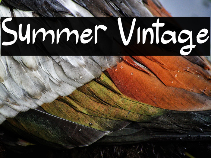 Summer Vintage Example 1
