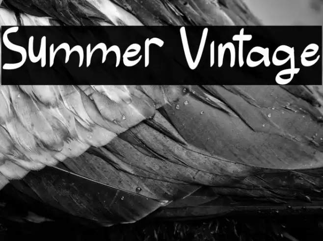 Summer Vintage Font examples
