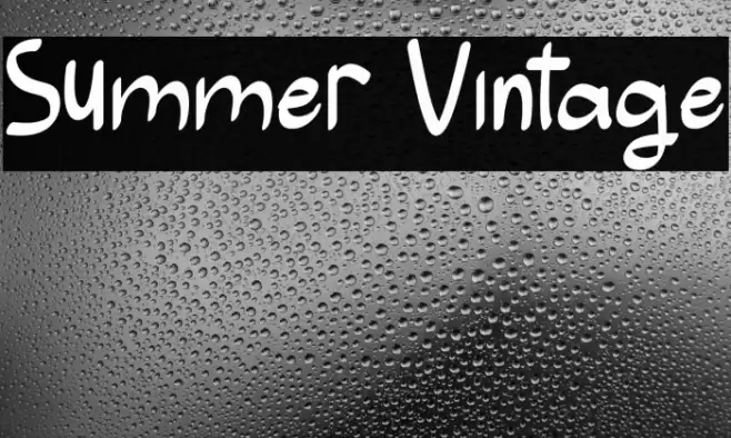 Summer Vintage Font examples