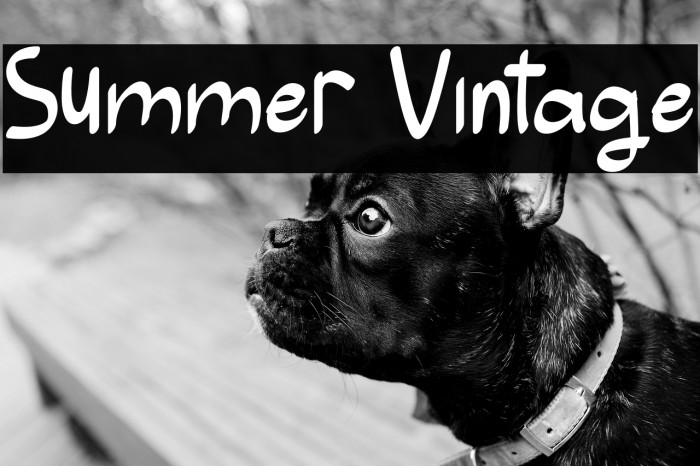 Summer Vintage Example 3