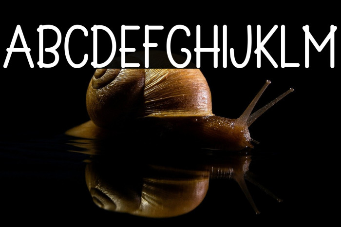 Summer Wahyu Example 2