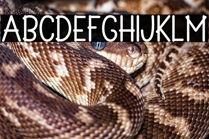 Summer Wahyu Example 3