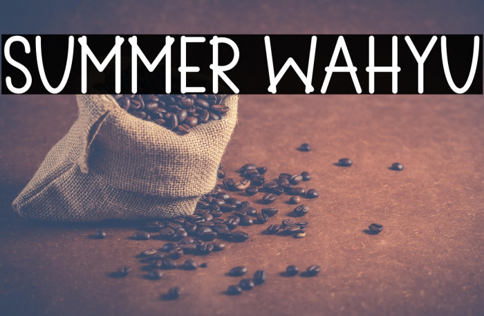 Summer Wahyu Example 1